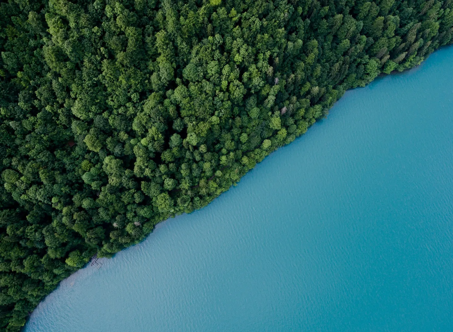 forest-lake-1689762599